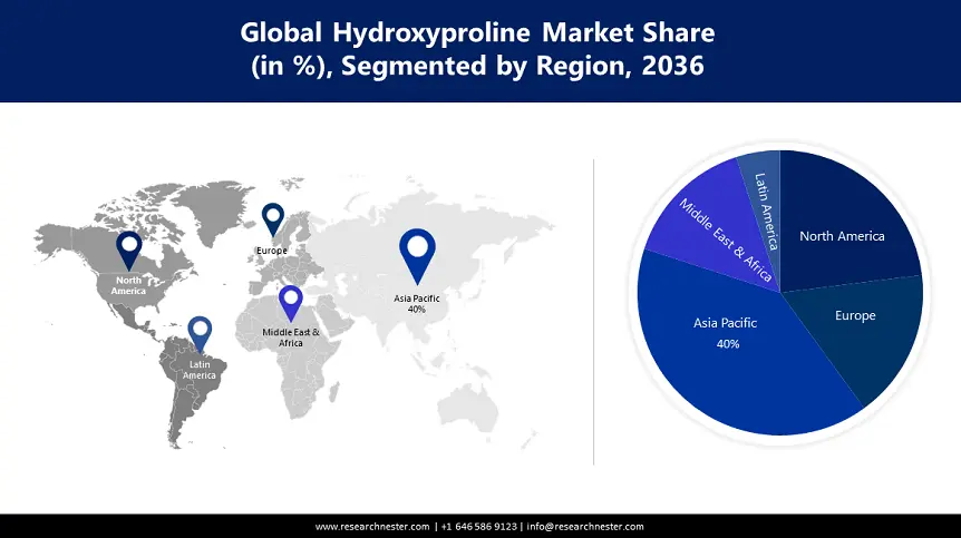 Hydroxyproline Market size